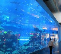 如何設(shè)計(jì)有吸引力的海洋館工程？